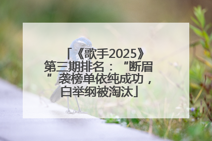 《歌手2025》第三期排名：“断眉”袭榜单依纯成功，白举纲被淘汰