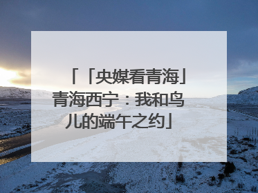 「央媒看青海」青海西宁：我和鸟儿的端午之约