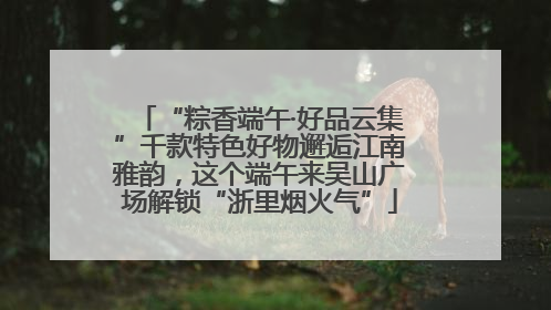 “粽香端午·好品云集”千款特色好物邂逅江南雅韵，这个端午来吴山广场解锁“浙里烟火气”