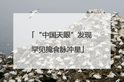 “中国天眼”发现罕见掩食脉冲星