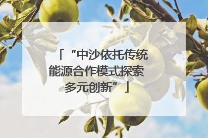 “中沙依托传统能源合作模式探索多元创新”