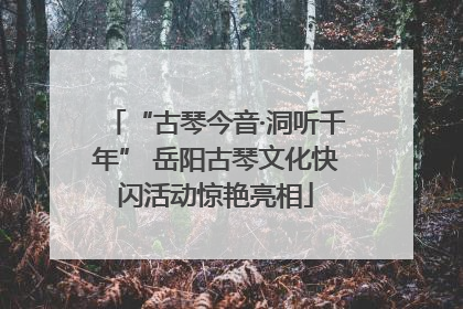 “古琴今音·洞听千年” 岳阳古琴文化快闪活动惊艳亮相