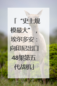 “史上规模最大”，埃尔多安：向印尼出口48架第五代战机