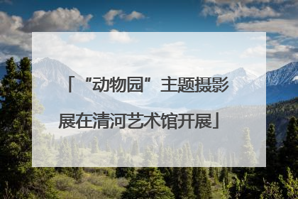“动物园”主题摄影展在清河艺术馆开展