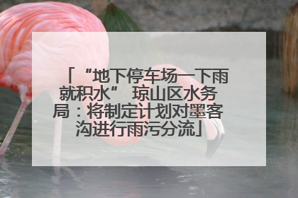 “地下停车场一下雨就积水” 琼山区水务局：将制定计划对墨客沟进行雨污分流