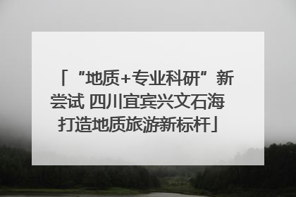 “地质+专业科研”新尝试 四川宜宾兴文石海打造地质旅游新标杆