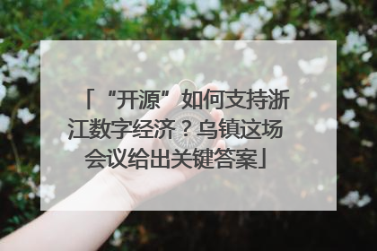 “开源”如何支持浙江数字经济？乌镇这场会议给出关键答案