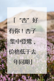 “杏”好有你！杏子集中登鹭，价格低于去年同期