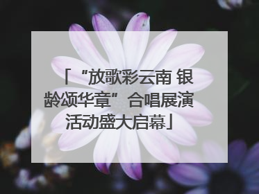 “放歌彩云南 银龄颂华章”合唱展演活动盛大启幕