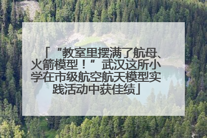 “教室里摆满了航母、火箭模型！”武汉这所小学在市级航空航天模型实践活动中获佳绩
