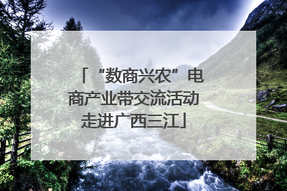 “数商兴农”电商产业带交流活动走进广西三江