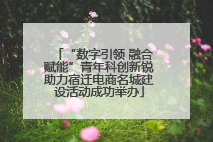 “数字引领 融合赋能”青年科创新锐助力宿迁电商名城建设活动成功举办