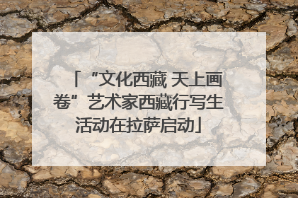 “文化西藏 天上画卷”艺术家西藏行写生活动在拉萨启动