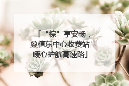 “棕”享安畅，桑植东中心收费站暖心护航高速路