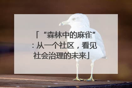 “森林中的麻雀”：从一个社区，看见社会治理的未来