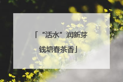 “活水”润新芽 钱塘春茶香