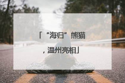 “海归”熊猫，温州亮相