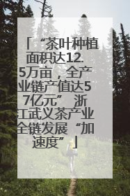 “茶叶种植面积达12.5万亩，全产业链产值达57亿元” 浙江武义茶产业全链发展“加速度”