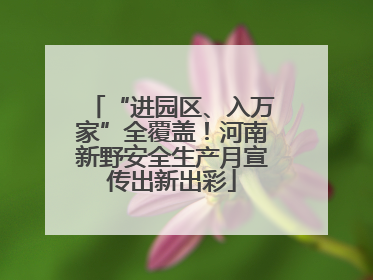 “进园区、入万家”全覆盖！河南新野安全生产月宣传出新出彩
