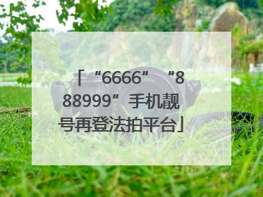 “6666”“888999”手机靓号再登法拍平台