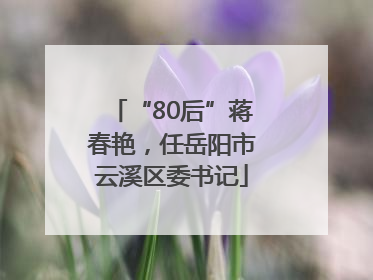 “80后”蒋春艳，任岳阳市云溪区委书记