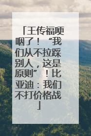 王传福哽咽了！“我们从不拉踩别人，这是原则”！比亚迪：我们不打价格战