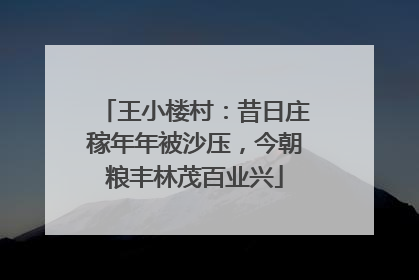 王小楼村：昔日庄稼年年被沙压，今朝粮丰林茂百业兴