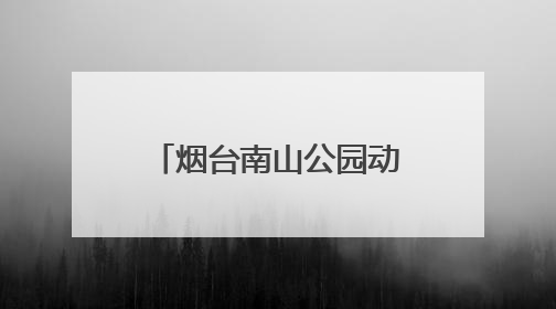 烟台南山公园动物园喜迎上海长颈鹿“新娘”