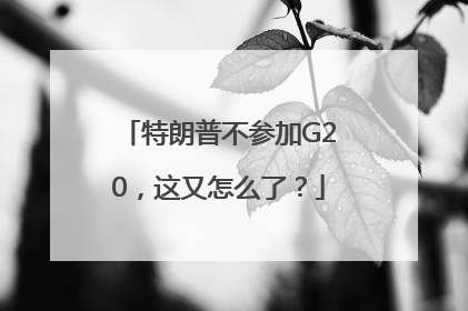 特朗普不参加G20，这又怎么了？