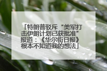 特朗普驳斥“美军打击伊朗计划已获批准”报道：《华尔街日报》根本不知道我的想法