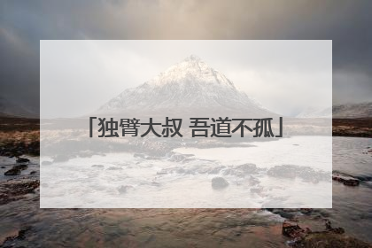 独臂大叔 吾道不孤