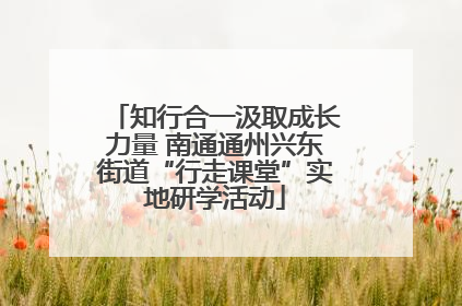 知行合一汲取成长力量 南通通州兴东街道“行走课堂”实地研学活动