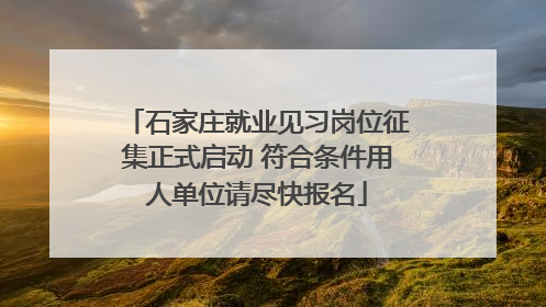 石家庄就业见习岗位征集正式启动 符合条件用人单位请尽快报名