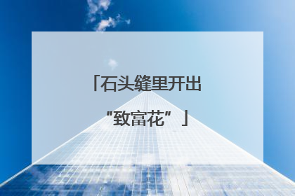 石头缝里开出“致富花”