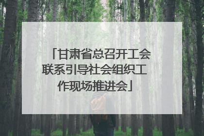 甘肃省总召开工会联系引导社会组织工作现场推进会