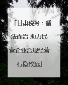 甘肃税务：循法而治 助力民营企业合规经营行稳致远
