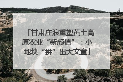 甘肃庄浪重塑黄土高原农业“新颜值”：小地块“拼”出大文章