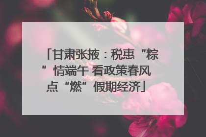 甘肃张掖：税惠“粽”情端午 看政策春风点“燃”假期经济