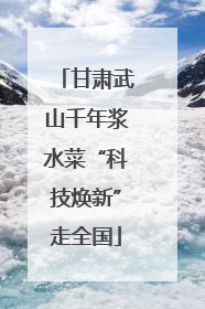 甘肃武山千年浆水菜“科技焕新”走全国