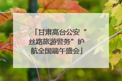 甘肃高台公安“丝路旅游警务”护航全国端午盛会