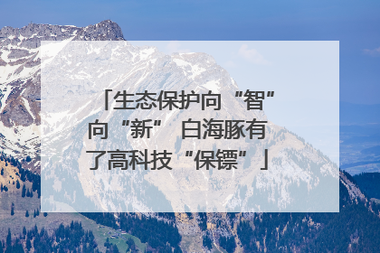 生态保护向“智”向“新” 白海豚有了高科技“保镖”