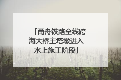 甬舟铁路全线跨海大桥主塔墩进入水上施工阶段