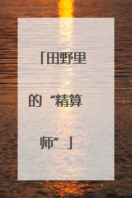 田野里的“精算师”