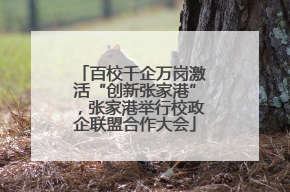 百校千企万岗激活“创新张家港”，张家港举行校政企联盟合作大会