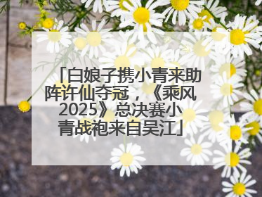白娘子携小青来助阵许仙夺冠，《乘风2025》总决赛小青战袍来自吴江