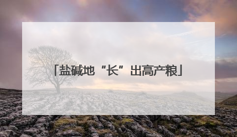 盐碱地“长”出高产粮