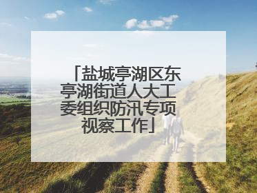 盐城亭湖区东亭湖街道人大工委组织防汛专项视察工作