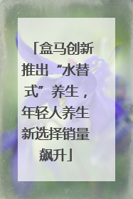 盒马创新推出“水替式”养生，年轻人养生新选择销量飙升