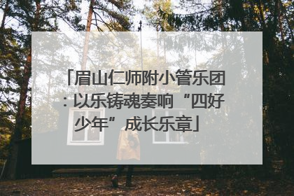 眉山仁师附小管乐团：以乐铸魂奏响“四好少年”成长乐章