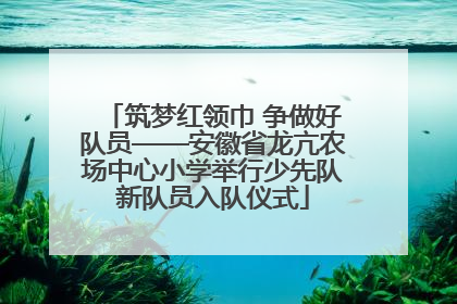筑梦红领巾 争做好队员——安徽省龙亢农场中心小学举行少先队新队员入队仪式